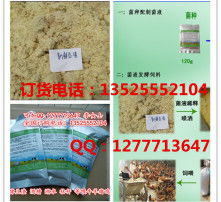 猪饲料中发酵豆渣的科学配比及应用策略，豆渣发酵猪饲料制作方法有哪些注意事项？