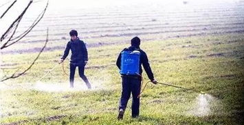 使用方法，得记牢！