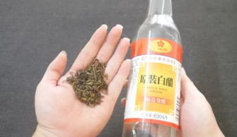 白醋在茶叶种植中的应用