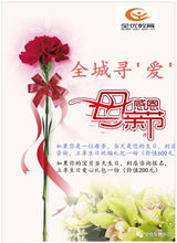康乃馨花，象征母爱