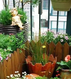 适合校园种植的花卉，你了解多少？