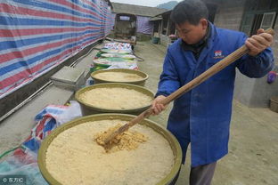 蛋鸡加鱼粉有什么好处？使用浓缩饲料喂猪有什么好处？两者结合使用效果如何？