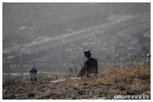 草木萧瑟，孤独的舞者