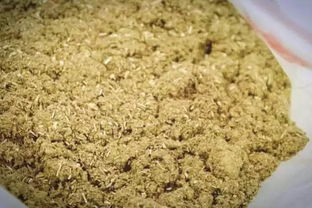 艾草粉碎后作为饲料添加到牛饲料中，对牛的健康和生长有影响吗？