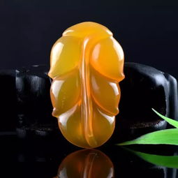 红帝玉养护要点是什么？如何让红帝玉叶片更加饱满