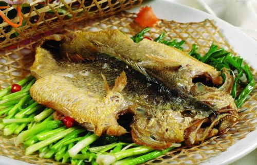 咸黄鱼加工工艺：以新鲜黄鱼为原料