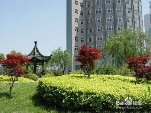 实施园林绿化监理规划：全面考虑绿地布局、 植被种类和施工质量