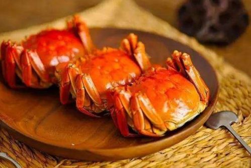 螃蟹富含蛋白质、钙、磷、铁等，具有清热解毒、消肿止痛的药用价值
