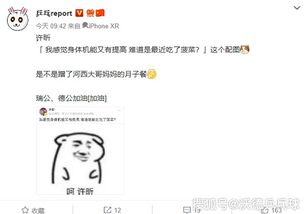 用白瑰玫传递心意，难道不是在向世界宣告