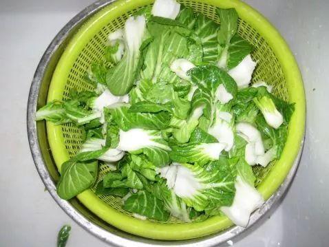 冬天雪后种什么青菜最好？