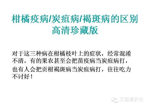 注意事项，就像念咒语一样