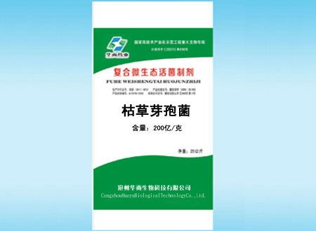 2025年饲料添加剂禁用名单中这些药为何被禁用？对动物健康有何影响？