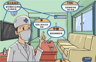 除甲醛产品，各有所长！