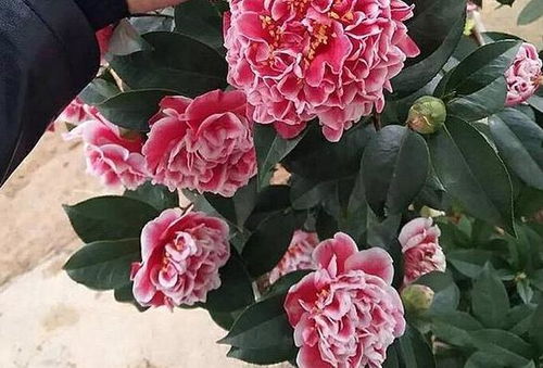 雨水的好处：让土壤水饱和