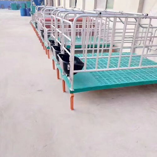 母猪专用栏的产床栏位设计是否考虑了母猪的舒适度和仔猪的成活率？