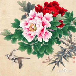 “零基础画牡丹，关键一招是什么
