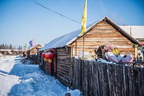 抗冻草种，省心又省钱