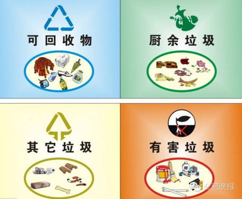 垃圾分类：一场环保的革命