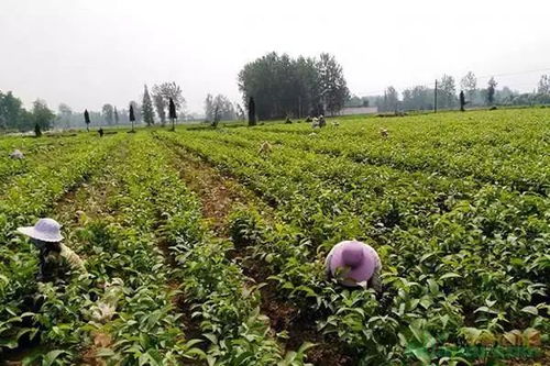 细节决定成败， 不嫩小觑