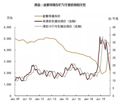 09年8月末9月初吉林省生猪价格走势如何？专家能否分析一下农安县的走势特点？