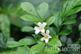 注意事项，记好了！