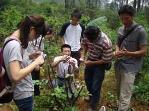 园林专业职业资格培训机构