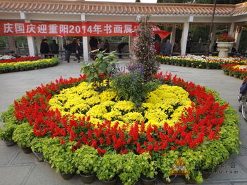 您在查找国庆节景区门口鲜花摆放方案吗？今日头条提供详尽的搜索后来啊聚合，每天实时梗新...