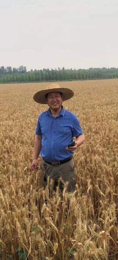 碳氢核肥：一场绿色革命的兴起