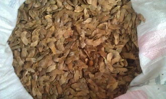 播种时机，得像抓迷藏一样讲究