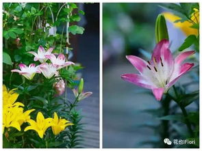 养护秘籍，学起来！