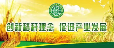 农业养殖新挑战，创新策略谋发展