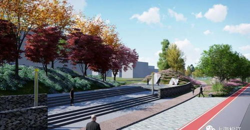 集雨型绿地是啥玩意儿？