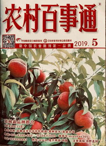 2019年草药种植市场预测：哪些草药品种最赚钱