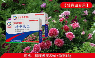 云南牡丹专用除草剂可以用于牡丹地里除草吗？