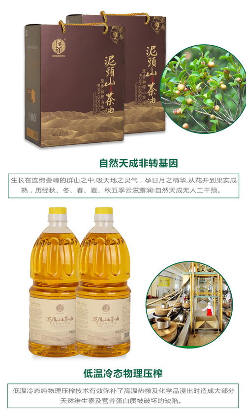 桃源茶油价格揭晓：湖南特产，品质之选！