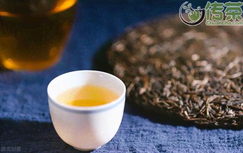 普洱茶生茶熟茶，究竟有何不同