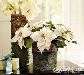 大自然的魔法棒