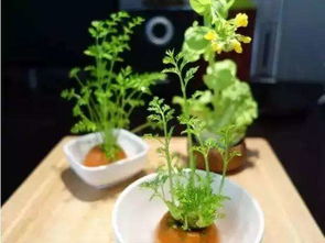 先说大实话：正常情况要等多久？