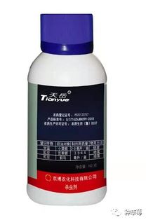 如何不用塑料桶杀虫剂，有效防治草莓叶枝上的虫害？