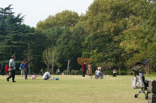 混种草坪：多样共生， 生态平衡