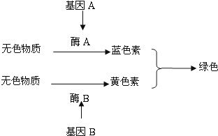 采用生物防治与物理隔离相结合，有效控制猪场苍蝇