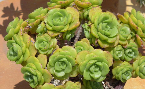 防范性养护：经验分享