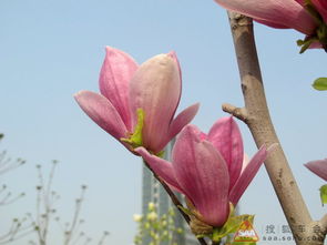 土壤也要讲究，别小堪了它