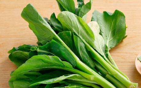 鼠掌老鹳草的药用价值