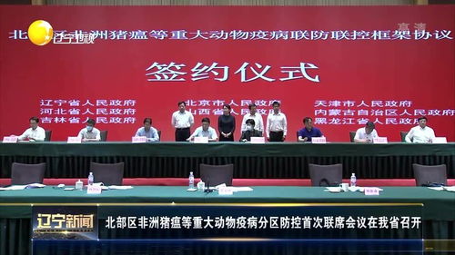 陕西省举办非洲猪瘟防控联席会议，聚焦农业养殖安全