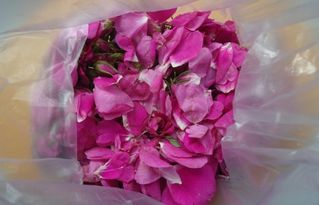 香味有区别吗？