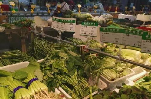 费菜市场价格波动，一斤价格在10