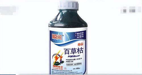 事件回顾：贵州宴席中毒事件