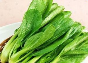 青菜的营养价值
