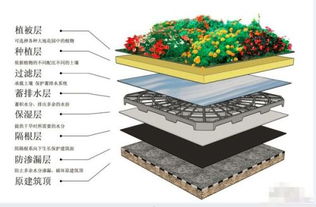 排水板铺设要保护